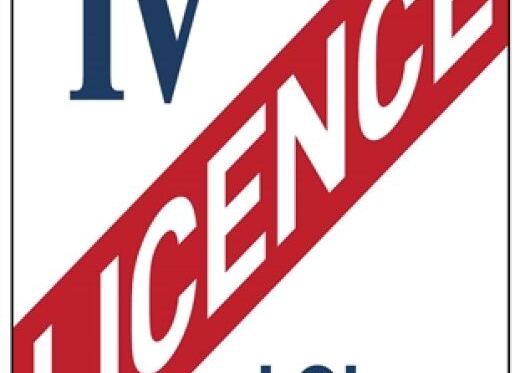 VENTE JUDICIAIRE EN LIVE ET SUR DESIGNATION DE MATERIELS DE PETITE RESTAURATION, LICENCE IV ET STOCK D'OBJETS DE BROCANTE